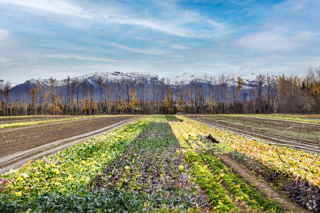 Southern Palmer roads reveal scenic views and charming neighborhoods.