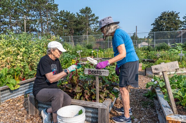 Volunteers tend to the community garden at Lafayette Park in Park Point.