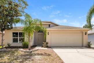 13708 Ogakor Dr, Riverview, FL 33579