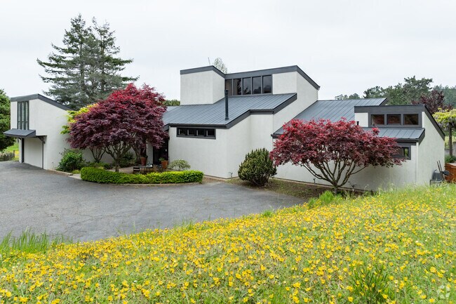 Modern Bolinas homes are perched in the hills with peaceful land often shrouded in clouds and fog.
