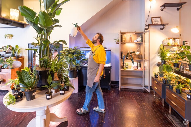 The Conservatory in Northeast Monroe is the perfect place to pick out your next house plant.