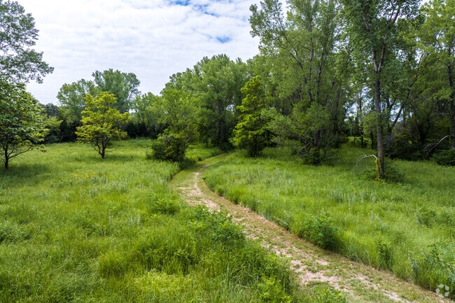 There are many gorgeous trails to enjoy at Hellers Park, in North End Riverview.