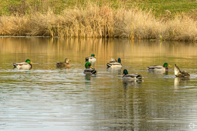 Nature is never far away in Cottage Grove.