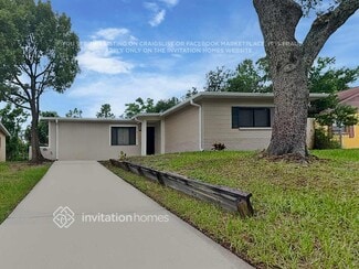 4113 E Okara Rd, Tampa, FL 33617