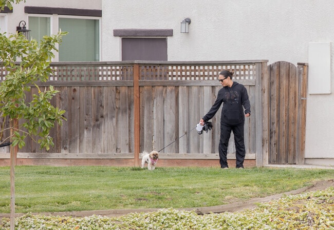 Residents of River Islands in Lathrop enjoy their community.