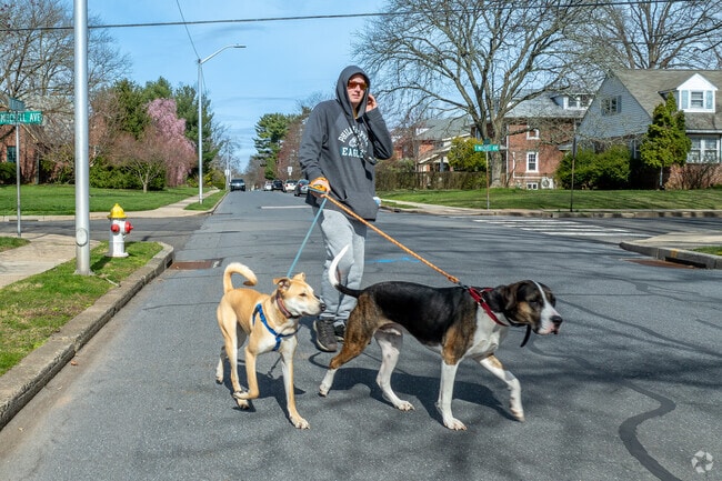 The streets in Lansdale are quiet and  calm.