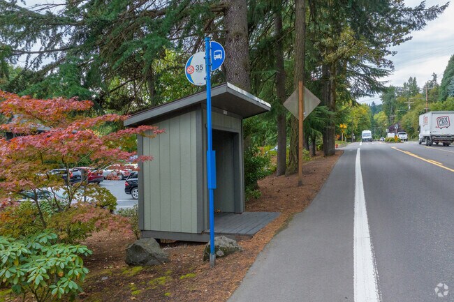 A bus stop along highway 43 offer protection from the rain for Hallinan commuters.