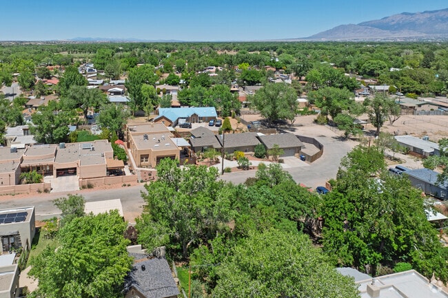 Alvarado Gardens is blessed with a canopy of trees throughout much of the neighborhood.