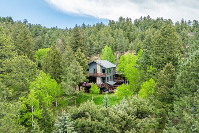 Many mountains homes in North Turkey Creek are secluded and surrounded by lush forest.