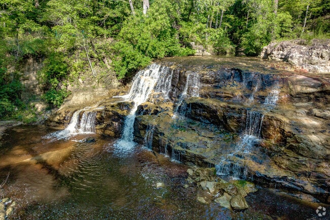 Patrons of ZipQuest enjoy the beautiful view of large trees and waterfalls in Kings Grant.