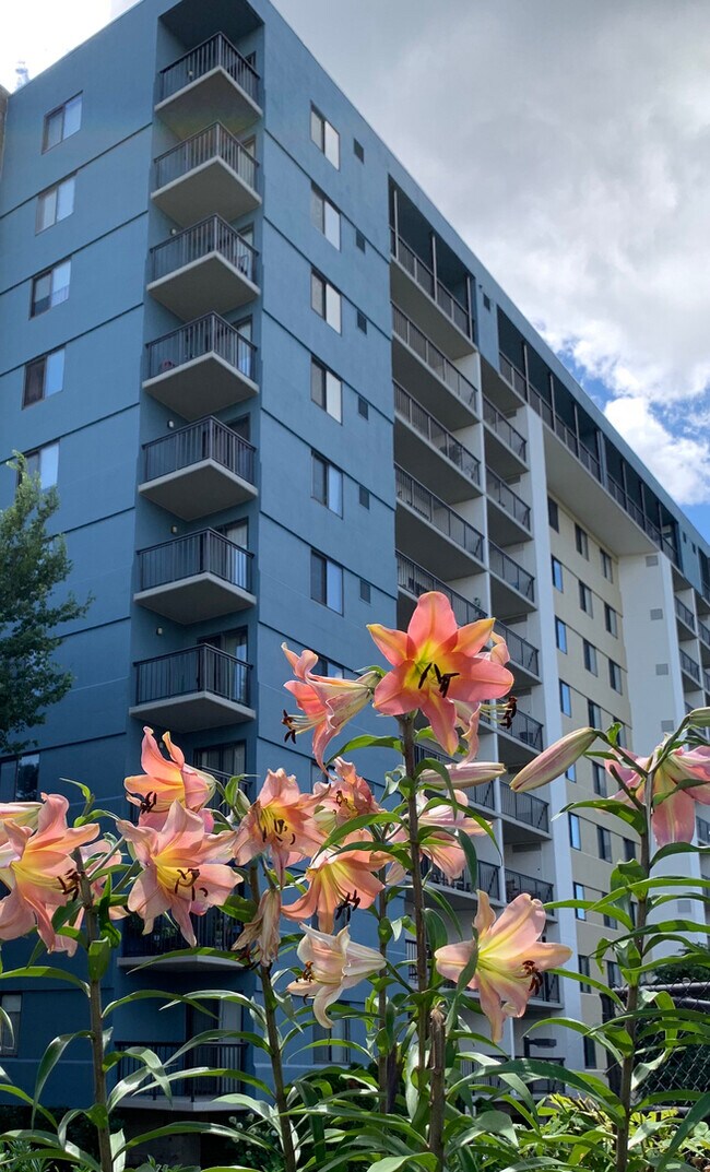 3800 Powell Ln Unit Room for Rent, Falls Church, VA 22041