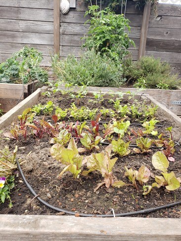 5421 Market St unit C, Emeryville, CA 94608 - photo 7