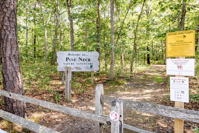 The trail at Pine Neck Nature Sanctuary begins in a Long Island pine barrens forest.