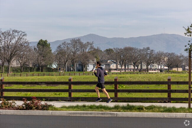 Residents of Birch Grove can be seen enjoying a brisk morning run down the streets.