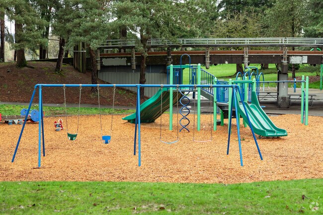 Swings and Play Structurer in Woodlawn Park Woodlawn