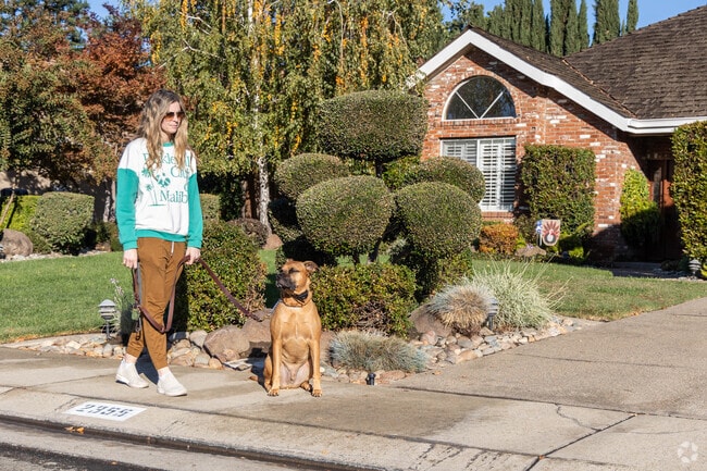 People and dogs love the Sunwest area in Lodi because of large sidewalks and flat terrain.