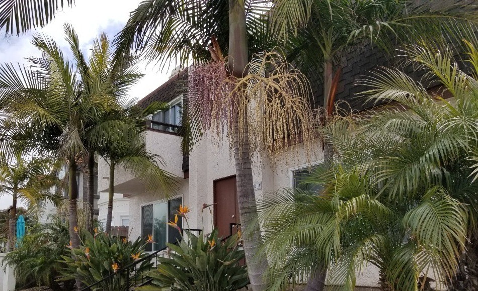 FRONT OF 4PLEX, 314 20TH ST