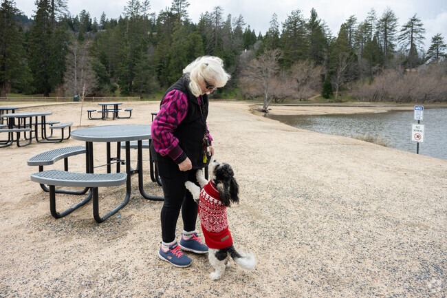 St. Moritz Ballpark Field in Crestline is next to a lake and is also pet friendly.