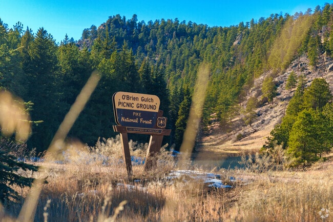 Eleven Mile Canyon is a popular camping area.