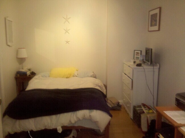 238 W Newton St unit 2, Boston, MA 02116 - photo 4