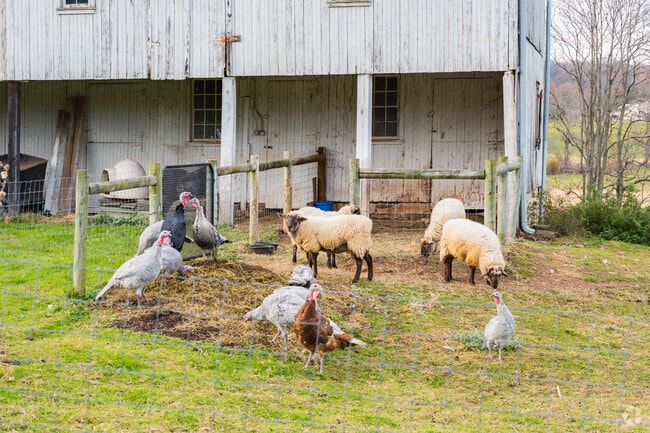 Brecknock, PA, is where the beauty of nature meets the charm of rural living.