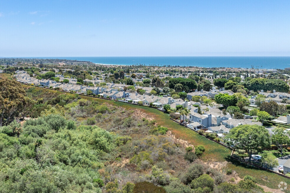 Poinsettia_570882_MC_072825_FINAL