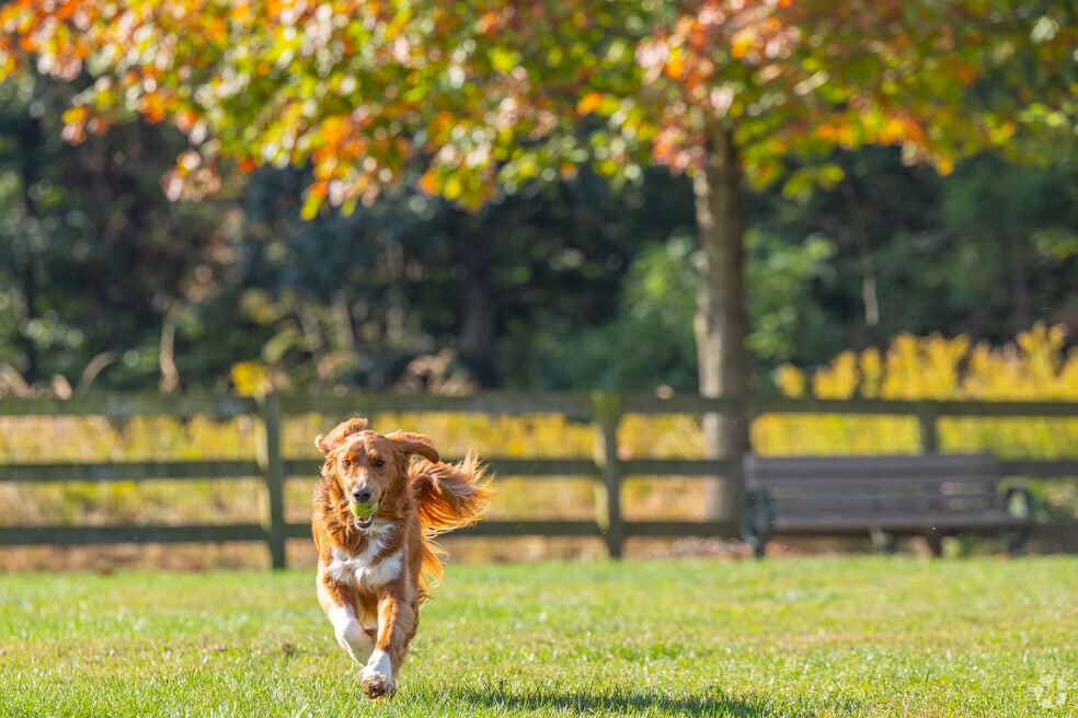 Penn Township Chester_1031295_KN_111425_V1