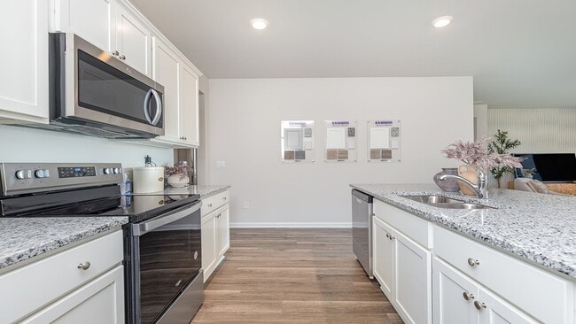 598 Strawberry Field Way, Galivants Ferry, SC 29544 - photo 2