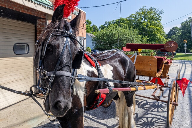 Local heroic horse, Versailles, delivered food to the local fire department in Mid-Country West.
