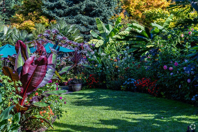 Powells Wood Garden is a magical experience in the heart of the Marine Hills neighborhood.