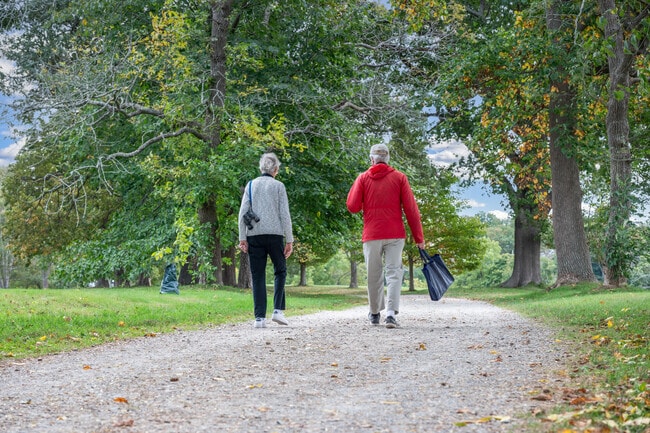 Worlds End offers scenic trails for walking near Whitehead.