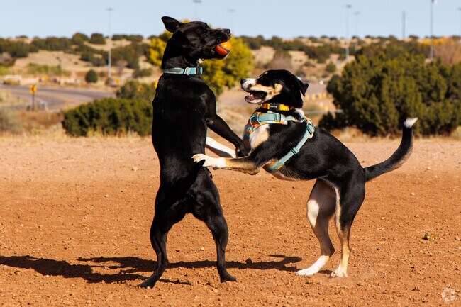 Animal Shelter Dog Park is a great place for dogs to run and play near Tres Arroyos.