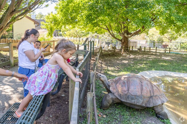 Scovill Gardens locals head to the amazing Scovill Zoo that has over 400 animals.