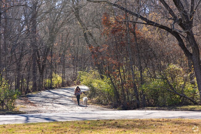 Babler State Park has many trails and paved roads for walking your dog.