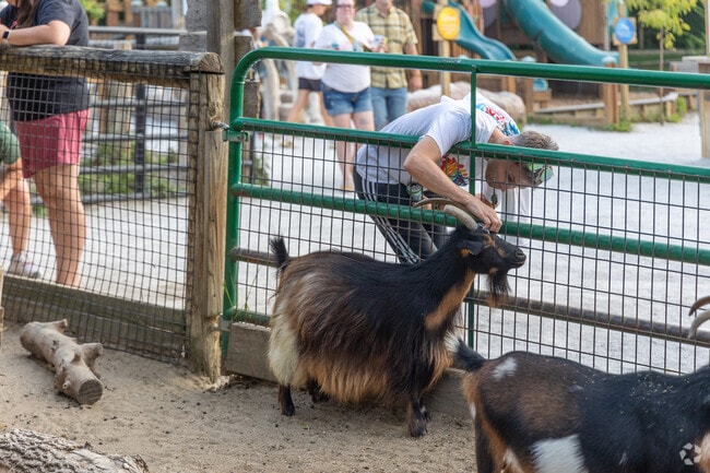 During Zoo Brew, Watrous Heights neighbors mingle with craft beer and wildlife.