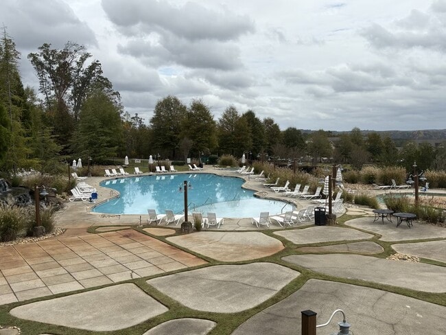 Lagoon Style Pool