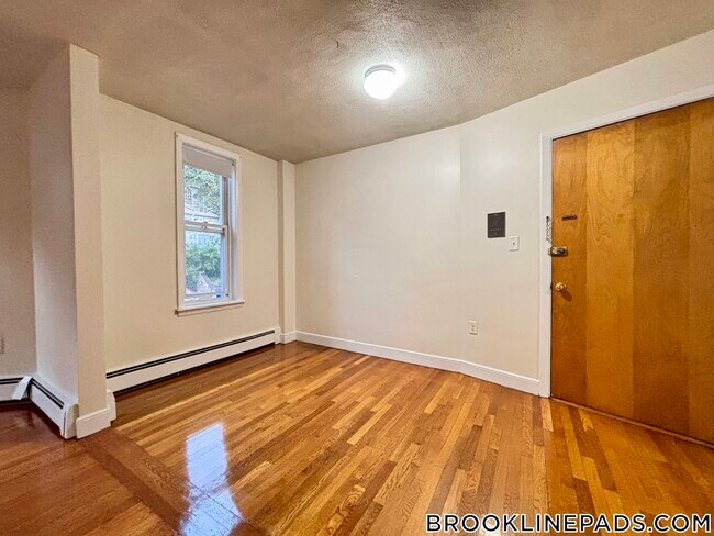 312 Tappan St unit 1, Brookline, MA 02445 - photo 7