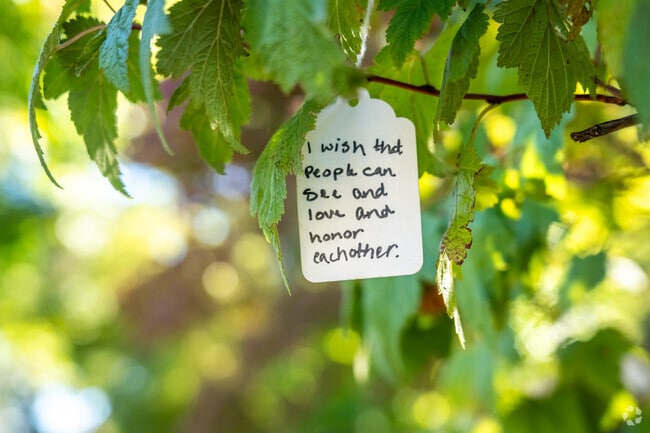 Residents and visitors leave wishes on the Wishing Tree in the Friendly neighborhood of Eugene.