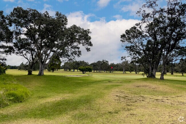 Stop by the Volcano Golf Course for a quick nine holes.