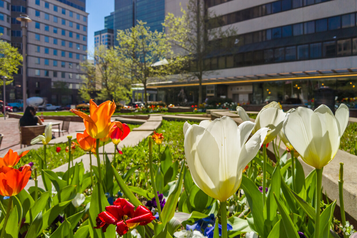 Downtown Bethesda Maryland in suburban Washington DC.