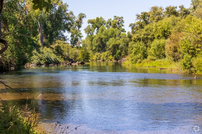 Mokelumne River is a great place to hang out and relax.