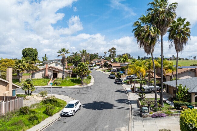 Palm trees dot the residential streets of Emerald Hills.
