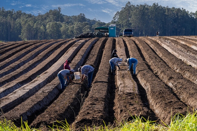 Cultivating dreams in the field.