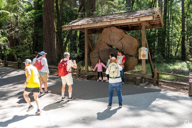 Henry Cowell Redwoods State Park in Felton features 1,000-year-old giants, offering forest hikes, creek views, and unmatched natural serenity.
