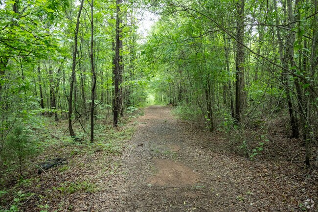 The Palmetto Trail runs near the USC Upstate campus in Valley Falls.