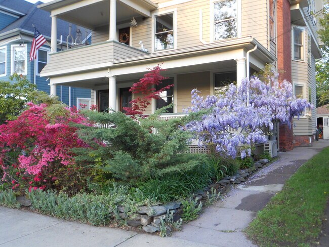 175 Alden Ave unit 3, New Haven, CT 06515 - photo 2