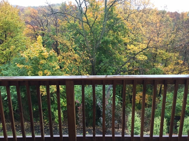 42 Maple St unit 5B, Mohnton, PA 19540 - photo 4