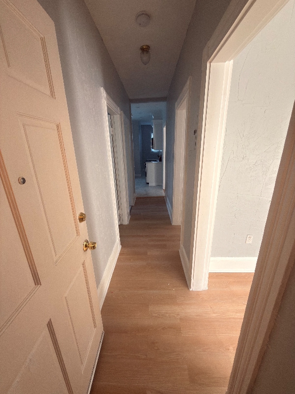 16 Shepton St Unit 3, Boston, MA 02124