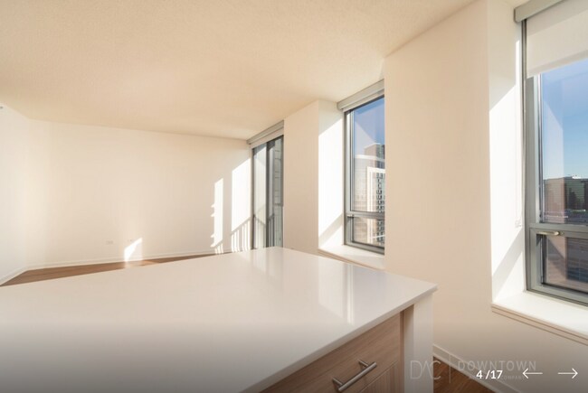 Admirals Pointe unit 3103, Chicago, IL 60654 - photo 5