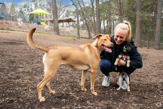 Jaycee Park covers approximately 15 acres of land and has a large community center near Hayes Barton.